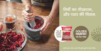 Golden Harvest advertising photo of red chillies being ground in a stone mortar and pestle