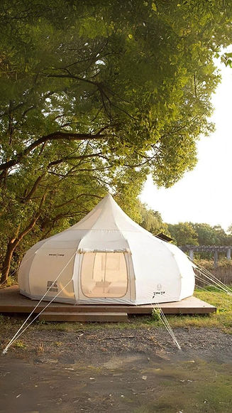 Rewild Camp 1.jpg