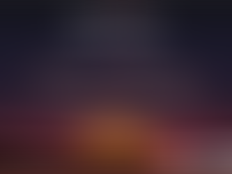 Celebrate Your Freedom