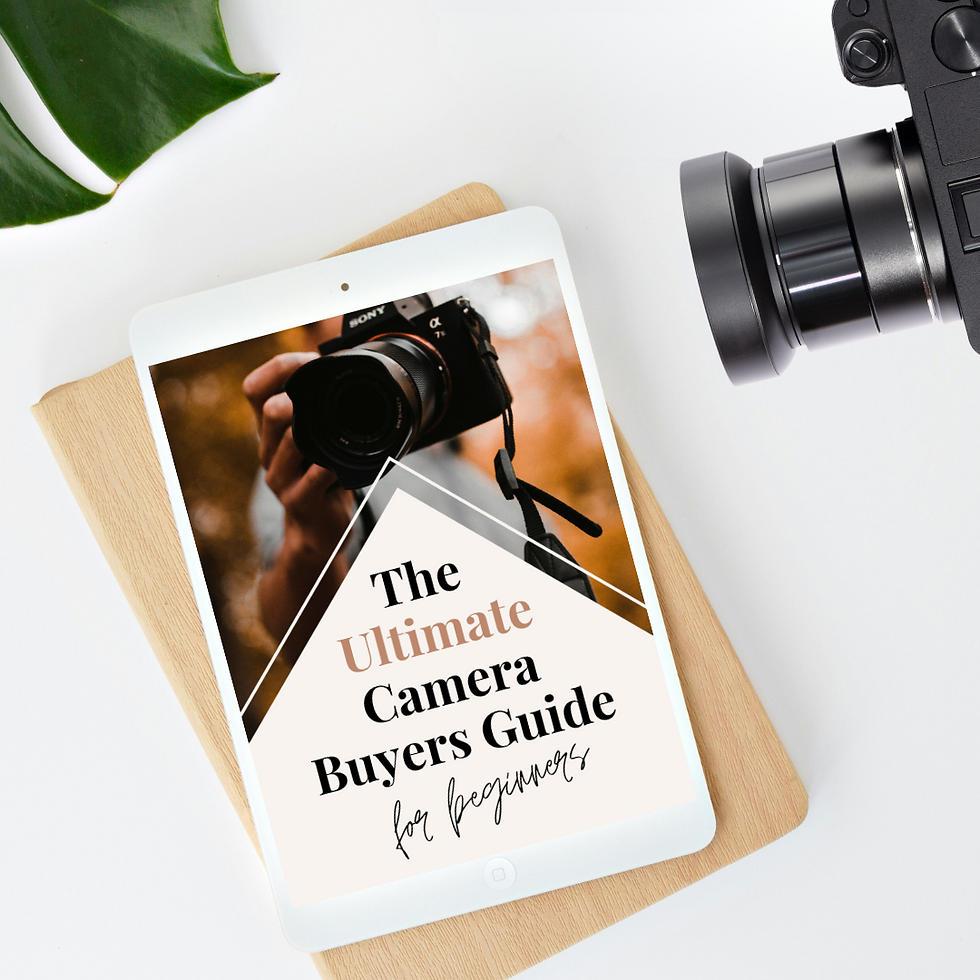 the ultimate beginner camera guide download