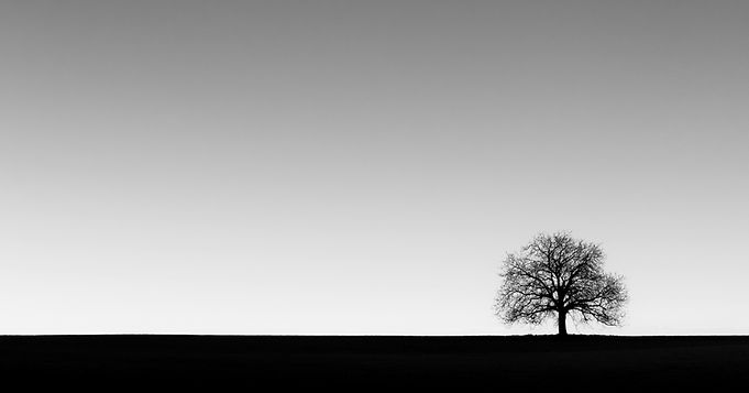 jan-huber-tuM1XWeRzQc-unsplash_edited_edited.jpg
