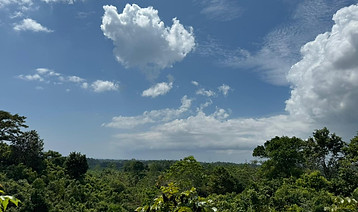 IMG-20240121-WA0017.jpg