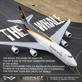 AEROPHILE.jpeg