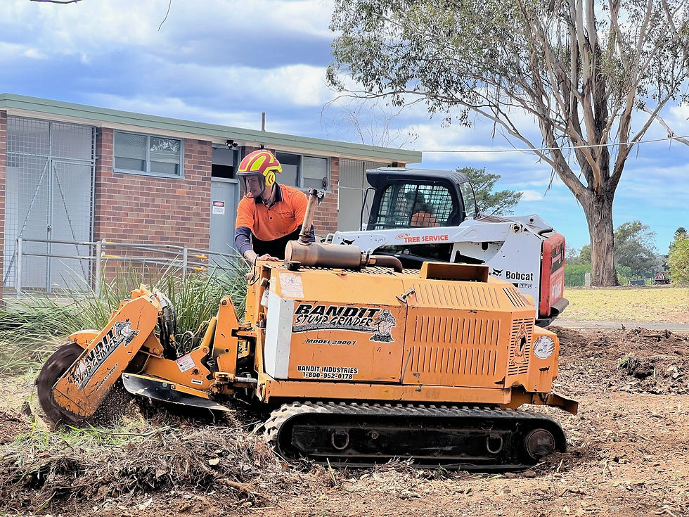 stump grinder