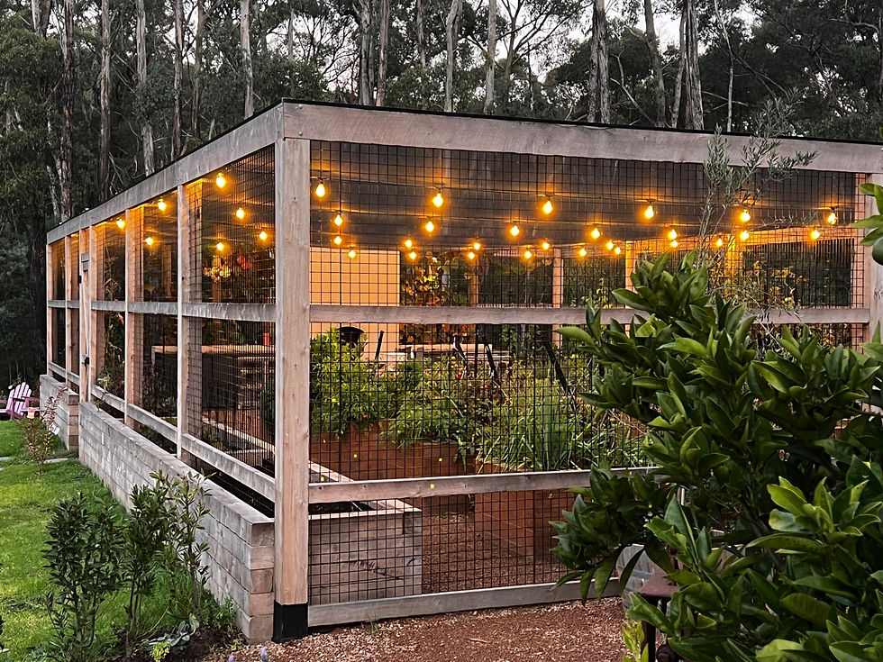 garden