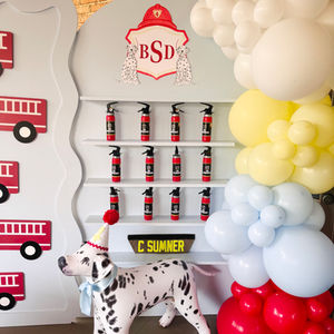 Firetruck Birthday Party