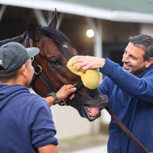 REPOLE STABLE, BUONA LA PRIMA!