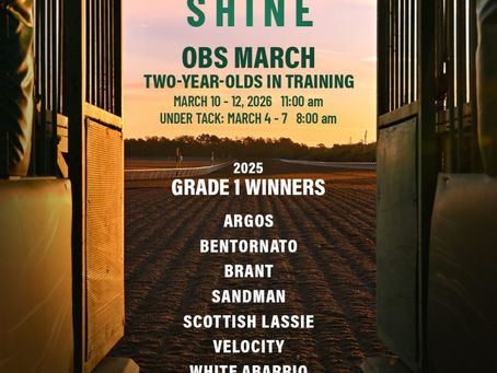 20 lotti da seguire - ASTE OBS, Breeze-up (10.03.2026)