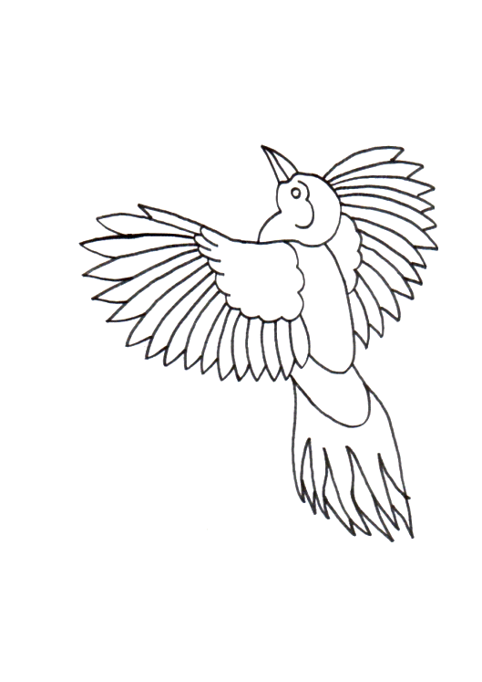 66