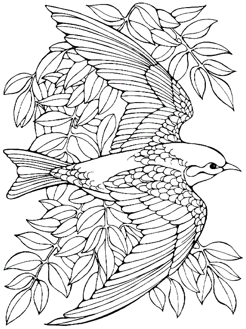 91