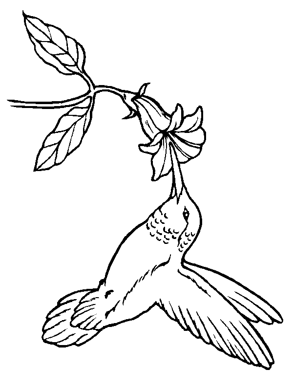 95