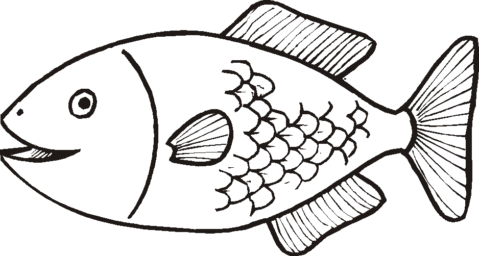pesce