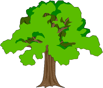 albero