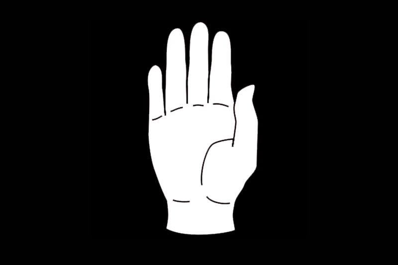 Mano palmo