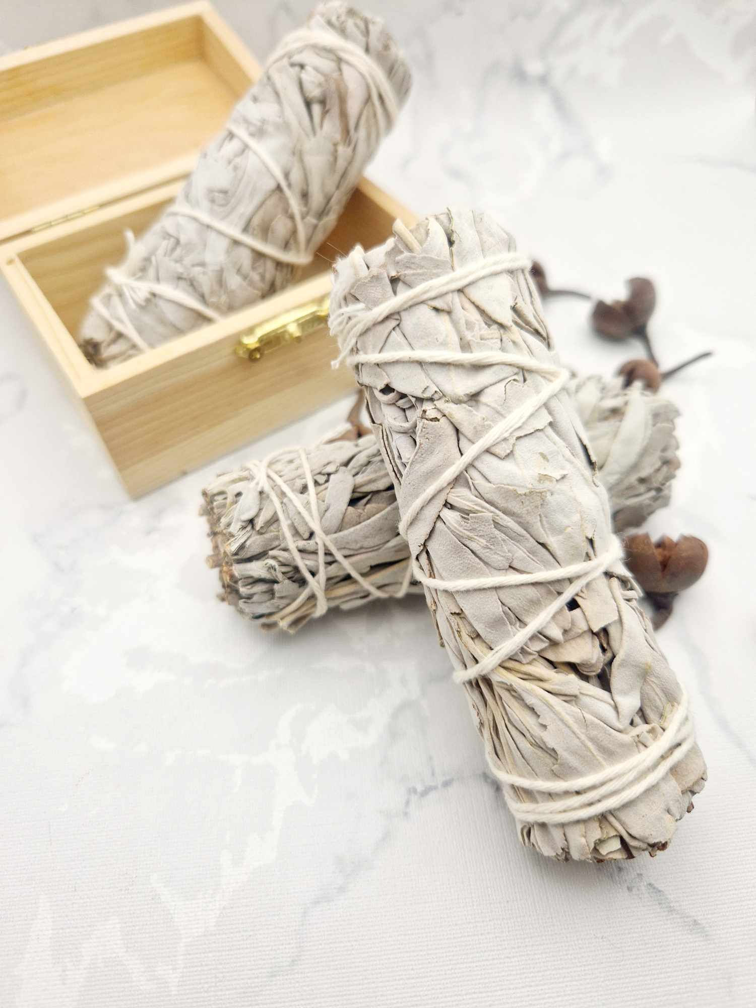 Sauge Blanche (+- 10cm)