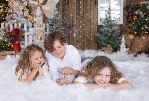 101A3525-snow.jpg
