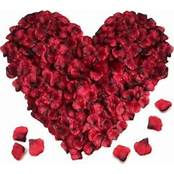 rose petals.jpeg