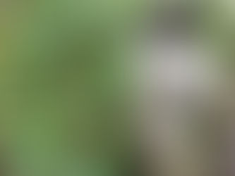 Amaha We Uganda changes lives:         A street boy called Napoleon.