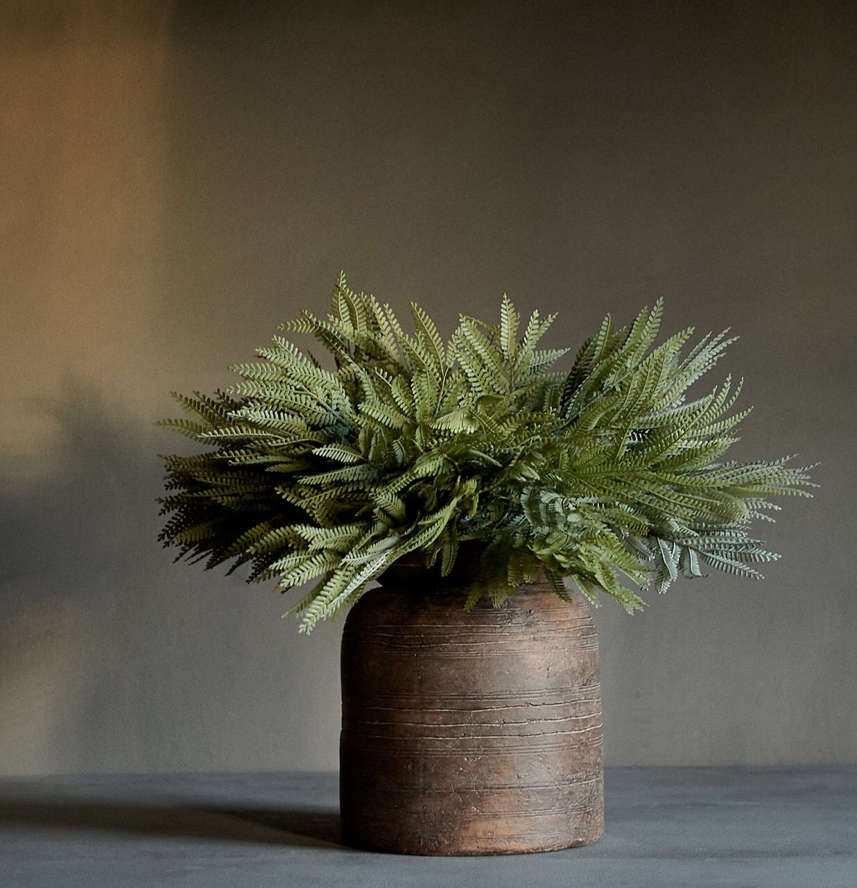 Mimosa grass (per stem)