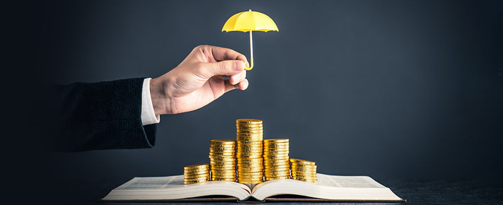 family-income protection.jpg