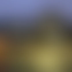 On trial: alleged accomplice in 2024 Wells Street Christmas homicide  