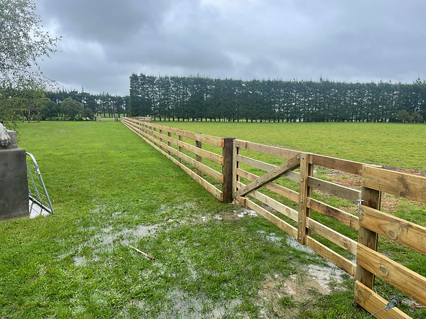 Lifestyle fencing