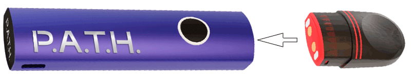PodAndBattery.gif