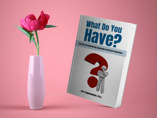 What Do You Have?: The Secret Of Experiencing Exponential Growth And Productivity