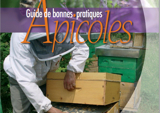 guide bonne pratiques apicoles