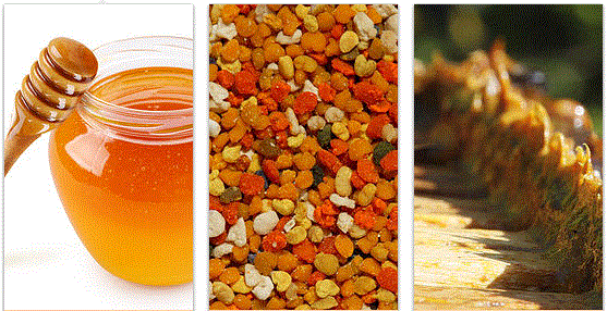 Les produits de la ruche