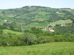 Panorami