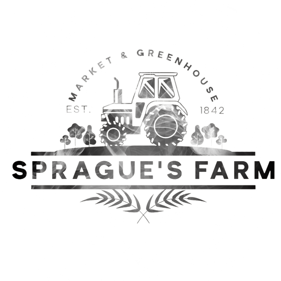 My project (21)_edited.png