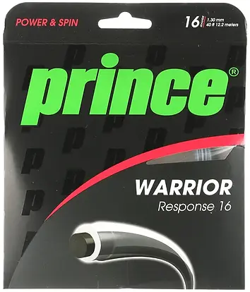 Prince Warrior Response