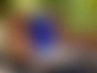 Retro-style camping stove with blue enamel coffee pot outdoors, representing sustainable outdoor cooking gear.