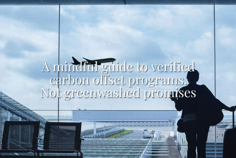 What Are Carbon Offset Programs? A Conscious Guide to Verified Options