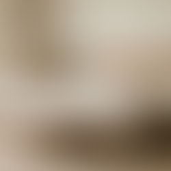 Solid wood bed frame with neutral bedding in a minimalist bedroom designed for durability and a healthier sleep space