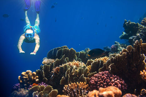 Snorkeler exploring vibrant coral reef in clear blue water, highlighting the importance of using reef-friendly sunscreen to preserve underwater ecosystems