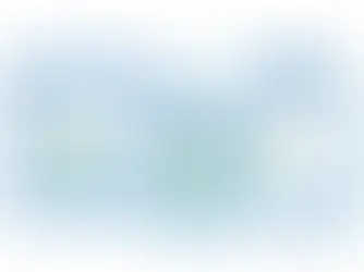 HSTS shield with HTTPS browser and PCI DSS approved scan checklist