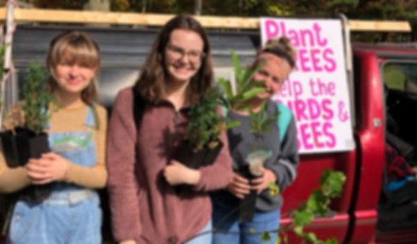 people planting young trees youngstown Ohio