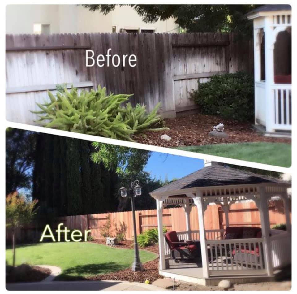 64533782_148135429661042_5444405874187567104_n