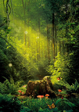 광고 CG 아이디어 idea 씨지뷰
CGVIEW