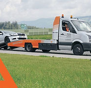 SERVICII INGRICOP