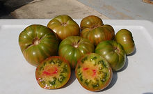 Dwarf Peppermint Stripes Tomato (18).JPG