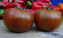 tomto seeds