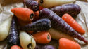This mixed pack of carrot seeds are from seeds we did not have time to package an separate. We then put them all together in one container an offer them as mixed lots. This pack contains seeds from red, yellow orange, purple an even black carrots! Some of the varieties are: Akaroa Long Red carrot, Altrincham carrot, Autumn King carrot, Barwon carrot, Baby Bell carrot, Bolero carrot, Doucer carrot, Flakee carrot, French Round carrot, Imperator carrot, Juwarot carrot, Karotan carrot, King Chantenay carrot, Magno carrot, Nelson carrot, Oxheart carrot, Royal Star carrot and many more! We cannot guaranty you will receive a perfect mix of verities but should get a mix however! Open pollinated 60-70 days.