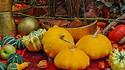 Here is the Golden Scallop Bush Squash, Cucurbita pepo. This is a French heirloom squash that very much looks like a scallop and often referred to as a Patty-Pan type! This squash is a non vineing type which grows like a zucchini plant but can grow to 3 or 4 feet long on the ground with as many as 12 fruits per plant. Fruits get to around 4 to 5 inches across. They make a beautiful yellow fruit that has a creamy flavor and is eaten like any other squash. It is considered a summer squash but can be a winter squash as well. We find them great mashed or roasted on the grill. Seeds are great roasted as well. Open pollinated, 60 to 70 days.