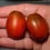 Thumbnail: Here is the Black Dragon Tomato , Solanum lycopersicum. The origins of this tomato is unknown at this time. The black Dragon