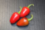 Here is the Renkli Aci Pepper, Capsicum annuum, Scoville Units: 1,000 ~ 2,500 SHU. This pepper originates from turkey. The pl