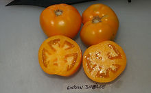 Here is the Golden Jubilee Tomato, Solanum lycopersicum This is a very unique tomato in a few different ways. The tomato is a low acid heavy producing tomato variety. It has a sunset yellow orange color with a nice balance of sweet and tangy flavor. Plants get to around 5 feet tall with thick sturdy stems. A good northern climate Indeterminate variety. open pollinated 75 days.