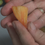 Thumbnail: Orange Russian 117 tomato
